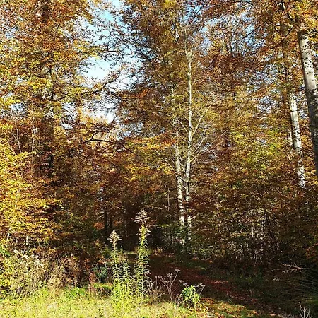 - Naturpark Schoenbuch Apartamento