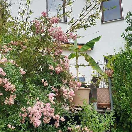 - Naturpark Schoenbuch Dettenhausen